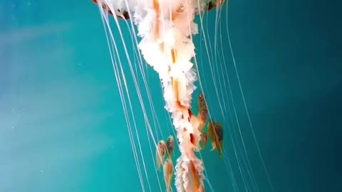 🌊 Take a break ☕