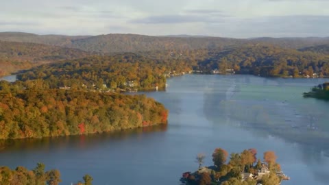 Enchanting Autumn Forests with Beautiful Piano Music