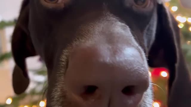 Getting Famous On #Rumble App