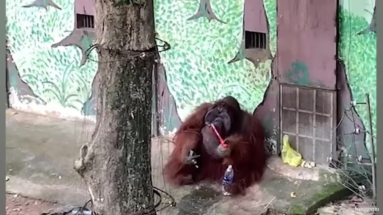 New Funny Animals 2023 😂 Funniest Cats and Dogs Videos 😺🐶_Trim