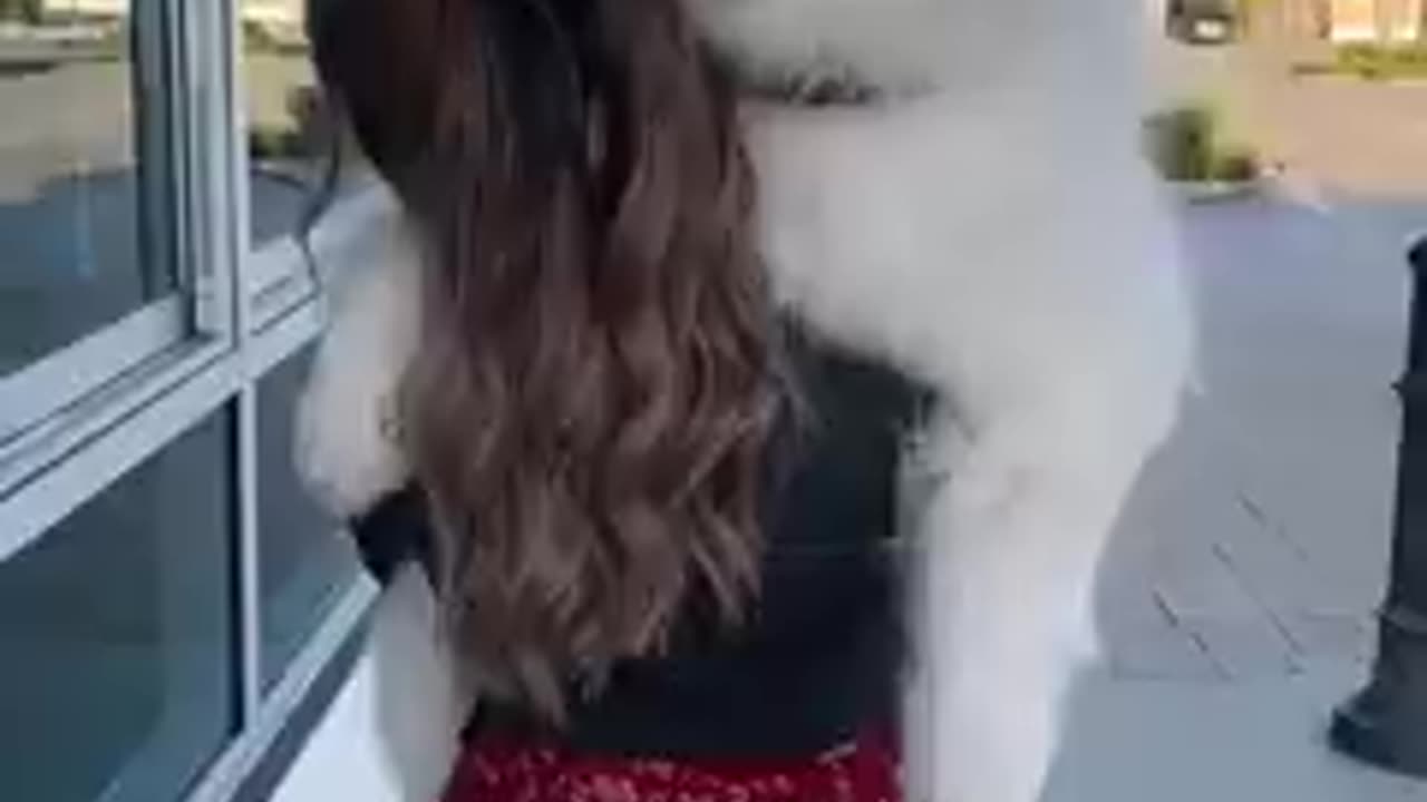Beutiful papi