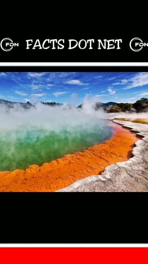 Did You Know? Rotorua Hot Springs, New Zealand || FACTS || TRIVIA