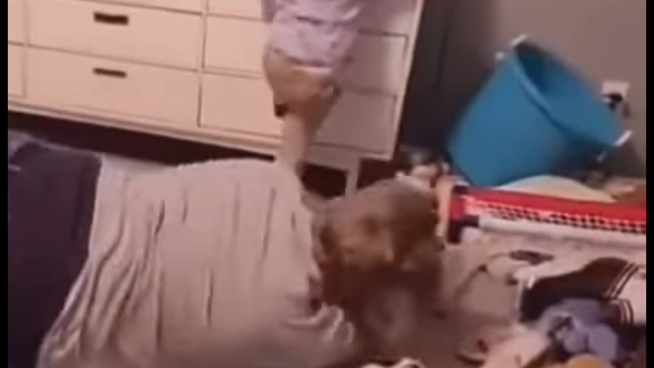 Cute baby and father funny fight