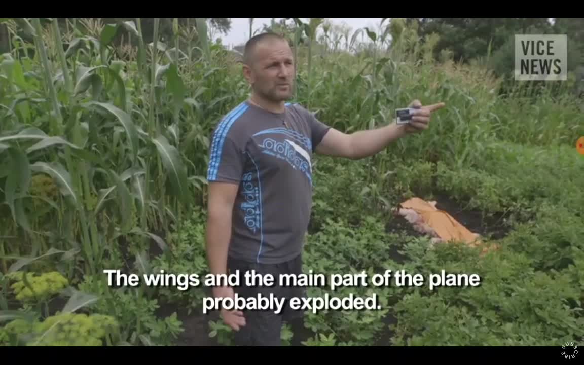 2014 Ukraine war. MH17 crash. Local people describe