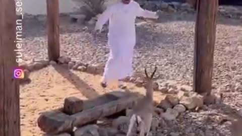The end 😂😂😂 #funny #viral #short