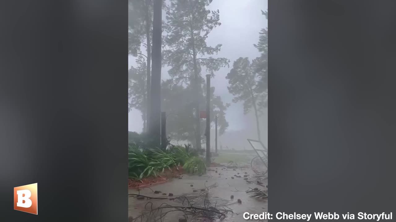 Trees, Basketball Net TAKEN DOWN by Hurricane Idalia in Georgia