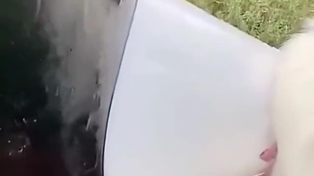 What are you doing?