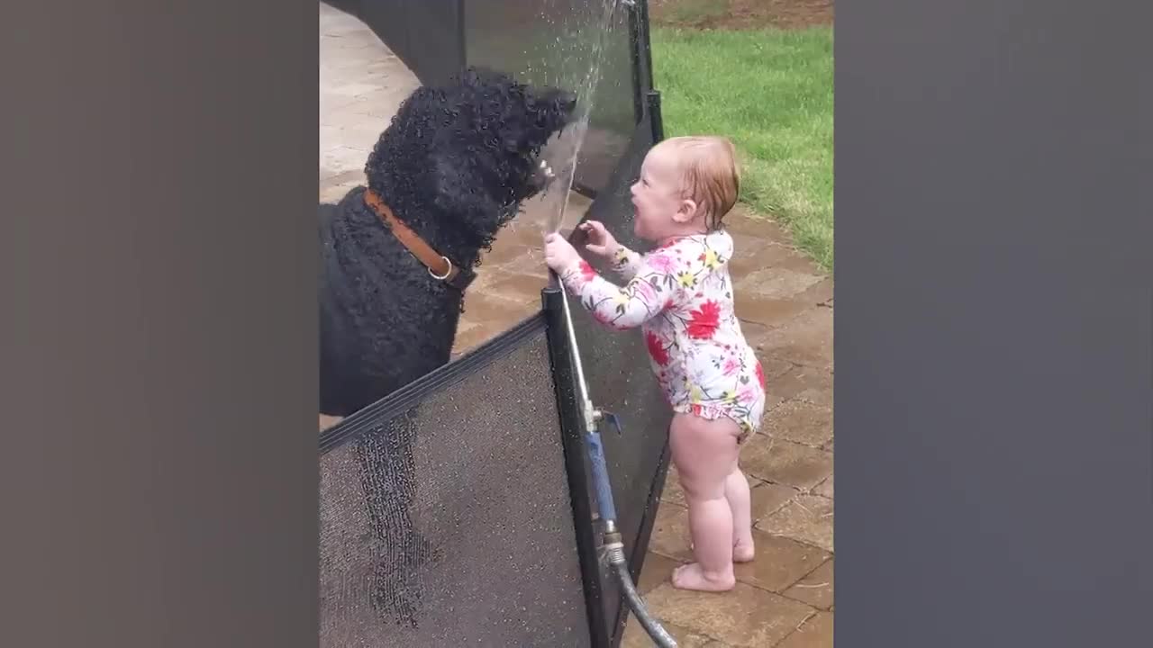 Cute Babies Playing With Dogs Compilation | Funny Baby And Pets