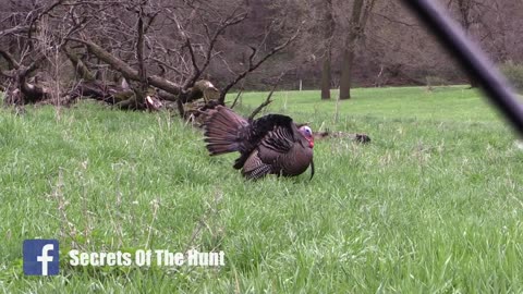 Secrets of the Hunt "8 Weeks" Episode 3: "HURRY UP AND WAIT! Putting In Your Time"