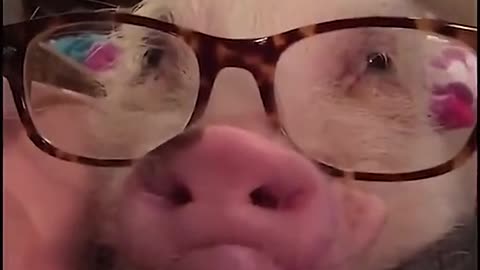 FUNNY MOMENT COMPILATION VIDEO, SEE UNTIL END!😅