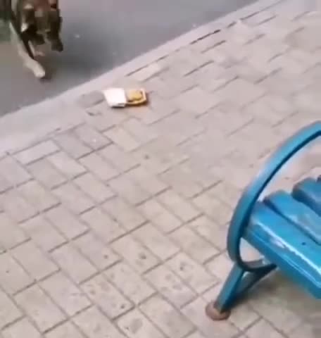 EXPERT review of McDonald's ‘Veggie Patty Burger’