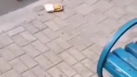 EXPERT review of McDonald's ‘Veggie Patty Burger’
