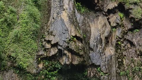 Umbrella waterfall