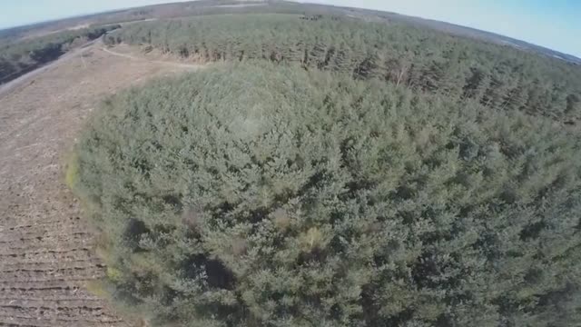 Vídeo de criatura estranha