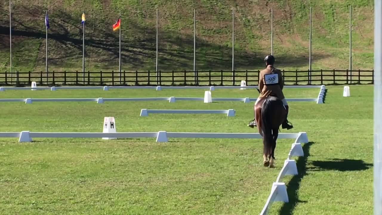 IVETE Cat CN1* Centro Equestre Ranieri di Campello Aprile 2019 —SOLD—