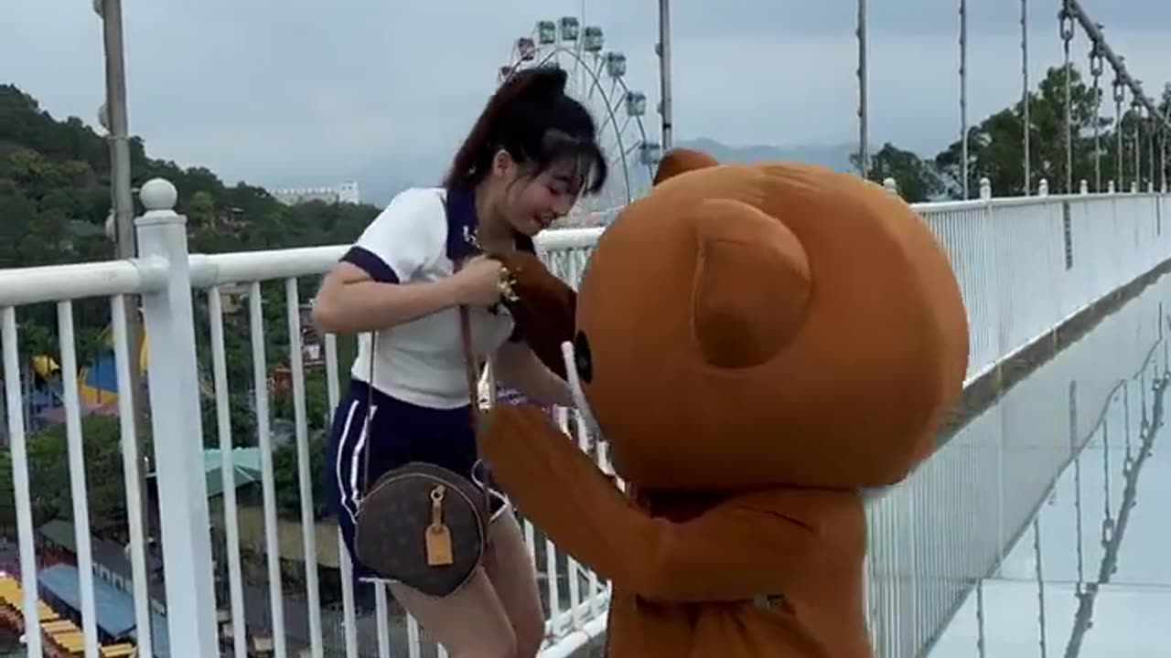 Funny video | Funny Bear