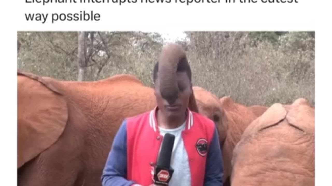 This Vedio Will Make YouR Day 😂😂😂😂😂😂