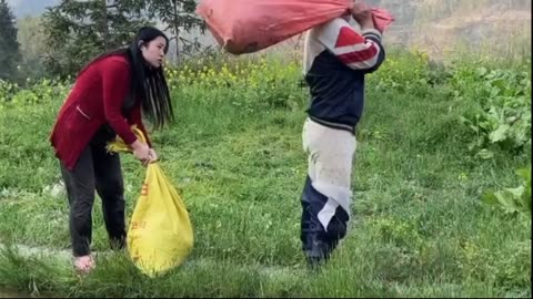 Funny videos