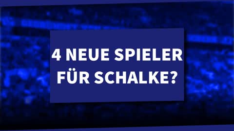 Verstärkung auf jeder Position? So viel Geld will Schalke für neue Spieler ausgeben!