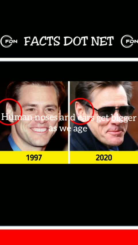 Did You Know? Human noses and ears get bigger as we age || FACTS || TRIVIA