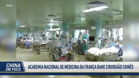 Organização na China resgata cães do abate