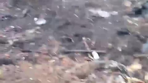 Rat Holes Filled With Russians