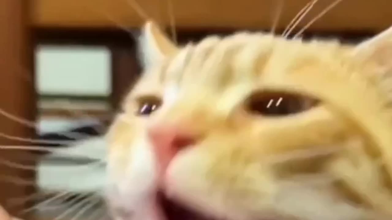 TRY NOT TO LAUGH 😆 Best Funny Videos Compilation 😂😁😆
