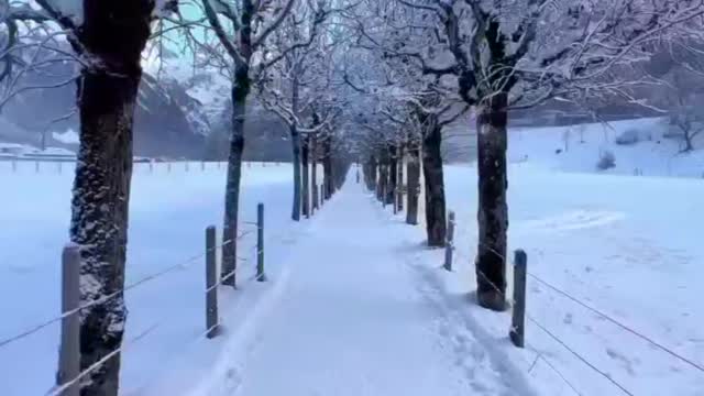 WINTER WONDERLAND ENGELBERG