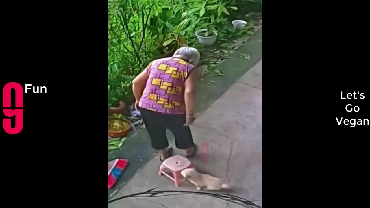 TRY NOT TO LAUGH 😆 Best Funny Videos Compilation