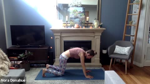 Hatha Hips & Twists