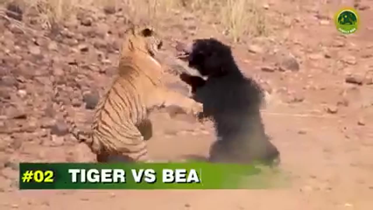 Counter and encounter.