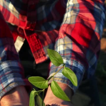 059 In numerology, Life Path 51 slash 6 is a unique blend of energy