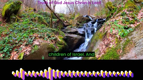 The book of Numbers Chapter 18 verse 1 to 32