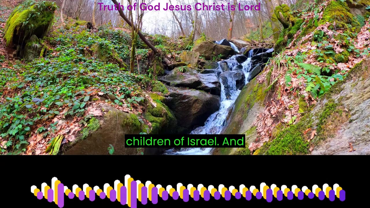 The book of Numbers Chapter 18 verse 1 to 32