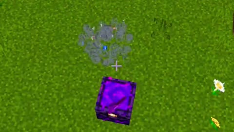 Minecraft TikTok Build Hack