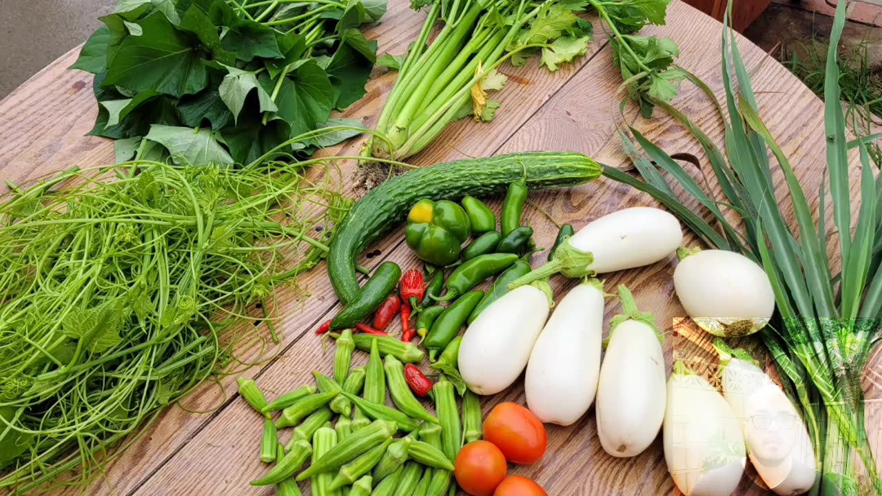 Garden Harvest with handpan therapy