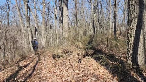 Appalachian Trail Shakedown Hike in Zaleski State Forest in Ohio