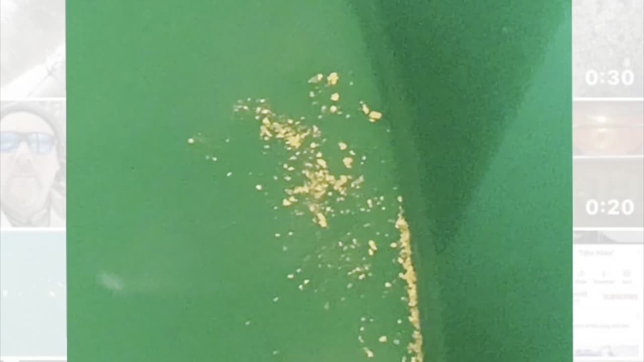 Make your river sluice awesome!! #gold #prospecting #outdoors #river #