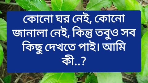 ধাঁধা :- কোনো ঘর নেই, কোনো জানালা নেই, কিন্তু তবুও সব কিছু দেখতে পাই। আমি কী..?