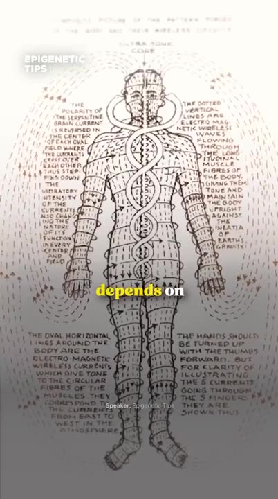 DID YOU KNOW THAT YOUR AURA PROTECTS YOU FROM DISEASES?