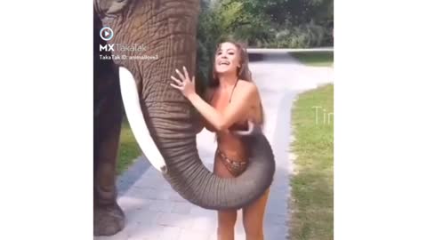 Funny Elephant playing with lady 🤣🤣🤣😂