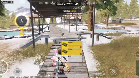 WHY ALWAYS I GET THE NOOB TEAMMATE IN PUBG