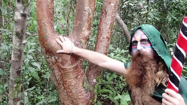 GRAN HECHICERO - AMOR FRATERNO