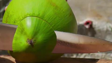 Fantastic coconut cutting skills