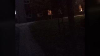 halloween video