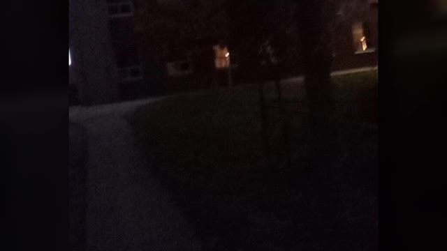 halloween video