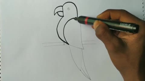 Drawing for kids - parrot drawingp3