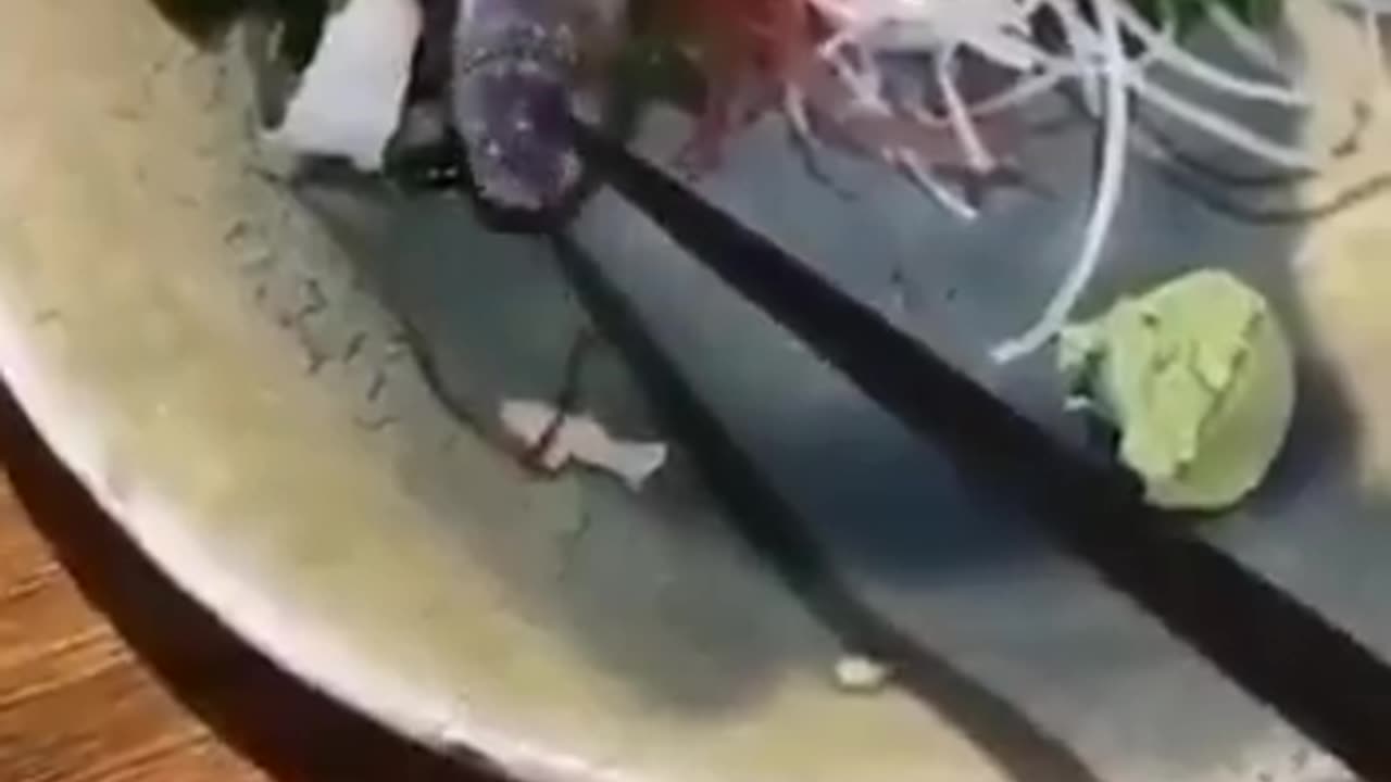 Your Meal Bites Back