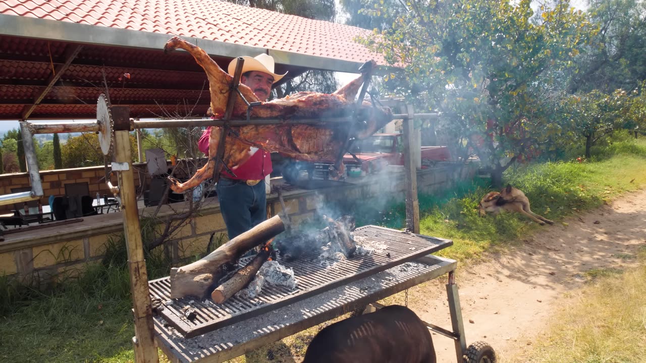 Eating Lion, Llama and Wild Boar!! Mexico's Exotic Meat Obsession!!!