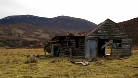 Strange Encounters in the Great Outdoors